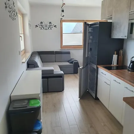 Apartament Xavier Kościelisko Exterior foto